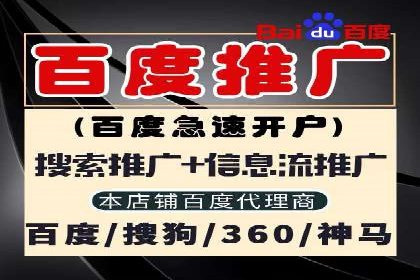 解析SEM推广代运营公司的成功案例及效果